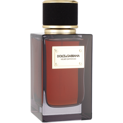 Dolce & Gabbana Velvet Zafferano