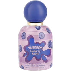 Tubbees Blueberry Sorbet