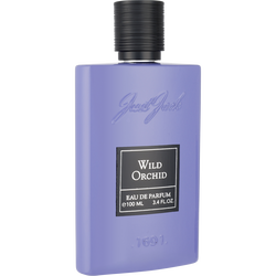 Just Jack Wild Orchid