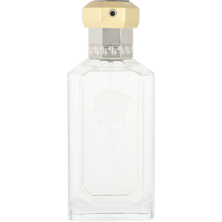 Gianni Versace Dreamer EDT spray 3.4 oz for men