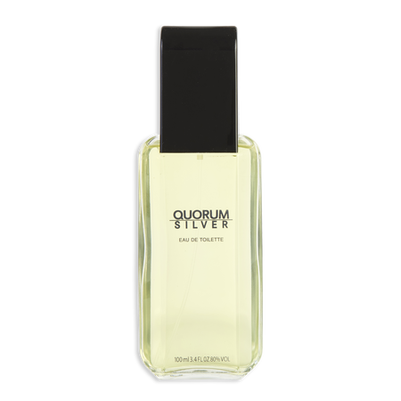 Antonio Puig Quorum Silver EDT spray 3.4 oz for men