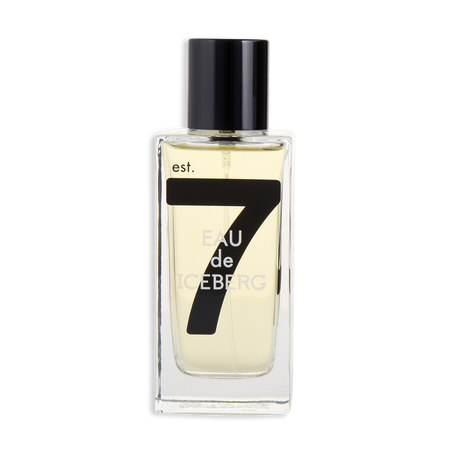 Eau De Iceberg EDT spray 3.3 oz for men