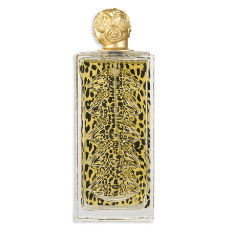 Salvador Dali Dali Wild EDT spray 3.4 oz for women