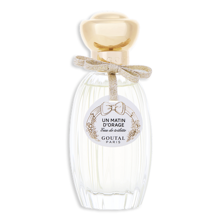 Annick Goutal Un Matin D'orage EDT spray 3.4 oz (NEW PACKAGING) for women