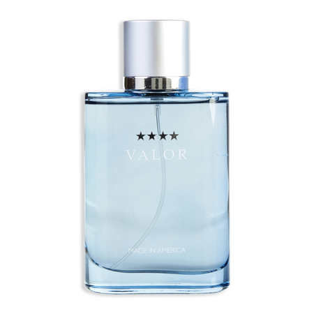 Dana Valor EDT spray 3.4 oz for men