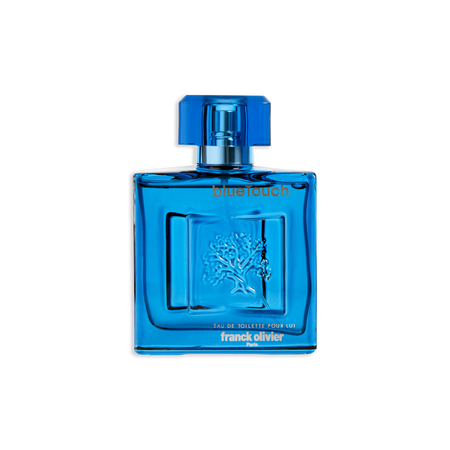 Franck Olivier Blue Touch EDT spray 3.3 oz for men