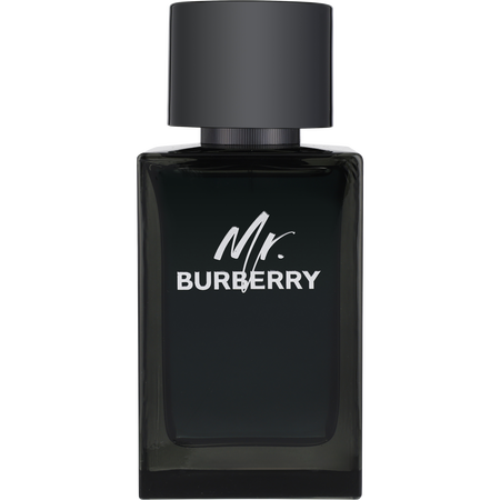 Mr Burberry Eau de parfum spray 5 oz for men