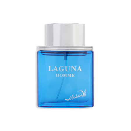Salvador Dali Laguna EDT spray 1 oz for men