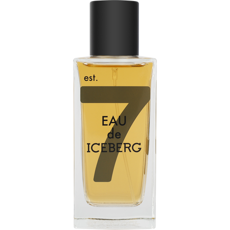 Eau De Iceberg Amber EDT spray 3.3 oz for men