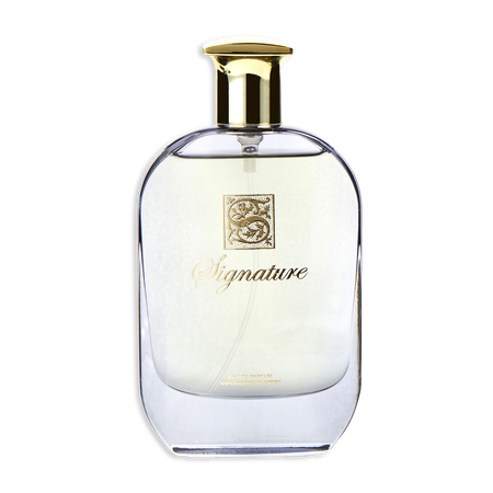 Signature Blue Eau de parfum spray 3.3 oz for men