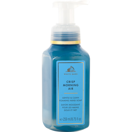 Bath & Body Works by Bath & Body Works CRISP MORNING AIR FOAM HAND SOAP 8.75 oz for women