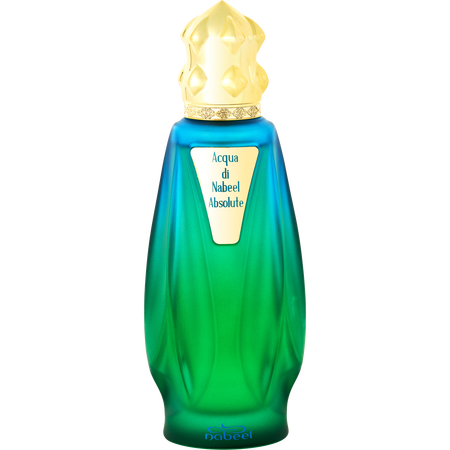 Nabeel Acqua Di Nabeel Absolute Eau de parfum spray 3.3 oz for unisex