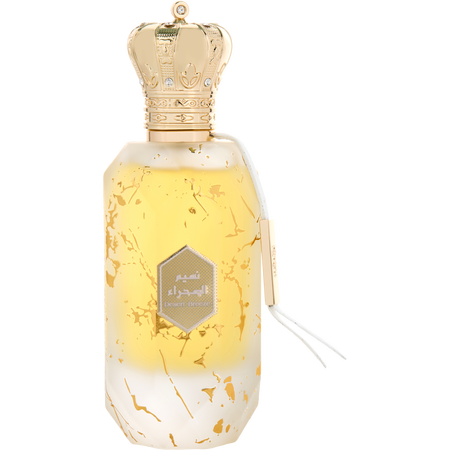 Armaf Eter Desert Breeze Eau de parfum spray 3.4 oz for men