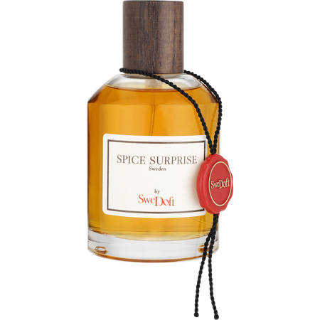 Swedoft Spice Surprise Eau de parfum spray 3.4 oz for men
