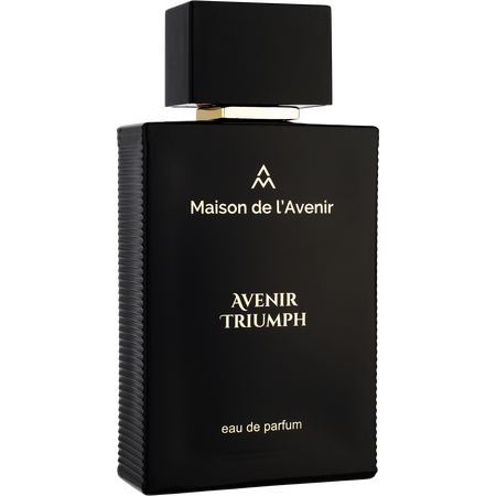 Maison De L'avenir Avenir Triumph Eau de parfum spray 3.4 oz for unisex
