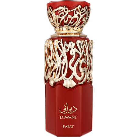 French Avenue Diwani Rabat Eau de parfum spray 3.4 oz for men