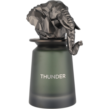 French Avenue Thunder Eau de parfum spray 3.4 oz for unisex