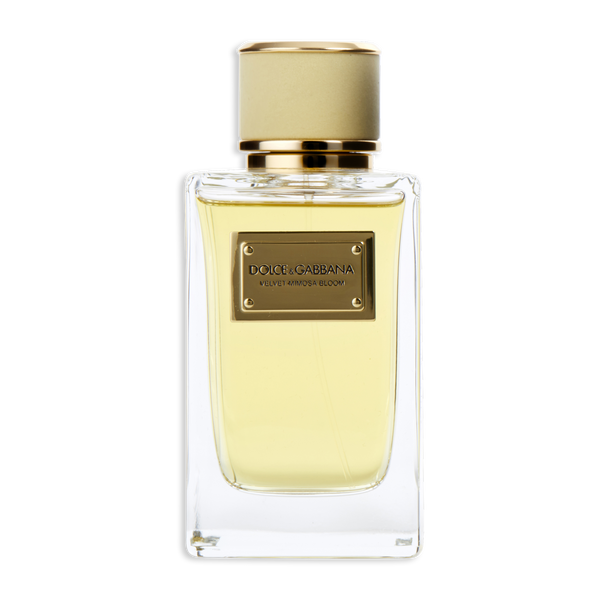 Dolce & Gabbana Velvet Mimosa Bloom by Dolce & Gabbana, Eau De Parfum Spray 5 oz, image 2 of 2