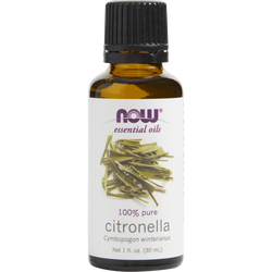 Essential Oils Now