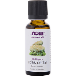 Essential Oils Now