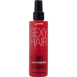 Sexy Hair