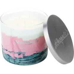 Aeropostale Magnolia & Grapefruit
