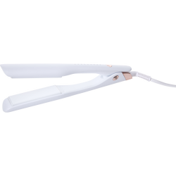 T3