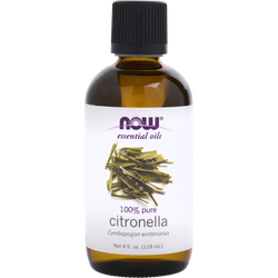 Essential Oils Now