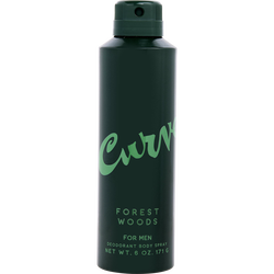 Curve Forest Woods