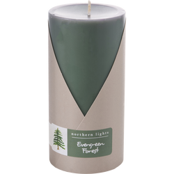 Evergreen Forest