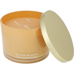 Lovery Orange Blossom