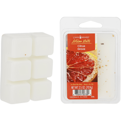 Candle Warmers Citrus Grove