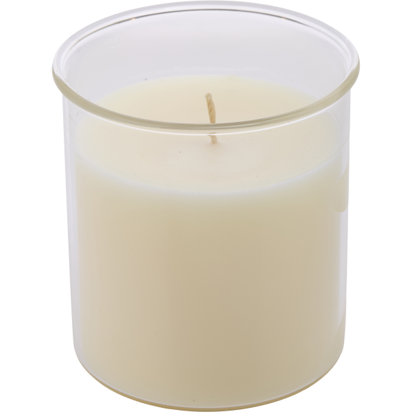 Candied Cinnamon by Northern Lights, Esque Candle Insert 9 oz