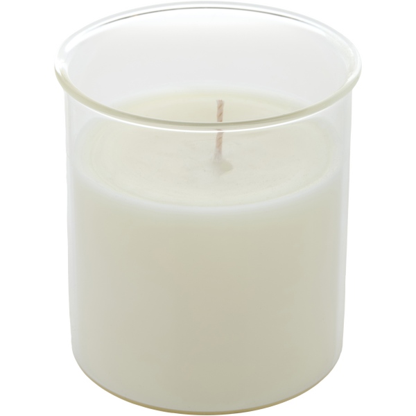 Sea Salt & Kelp by Northern Lights, Esque Candle Insert 9 oz