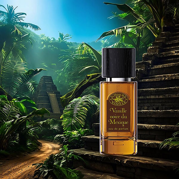 La Maison De La Vanille Noire Du Mexique by La Maison De La Vanille, Eau De Toilette Spray 3.3 oz, image 3 of 3