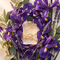 Libre Yves Saint Laurent